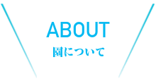 クラブについて